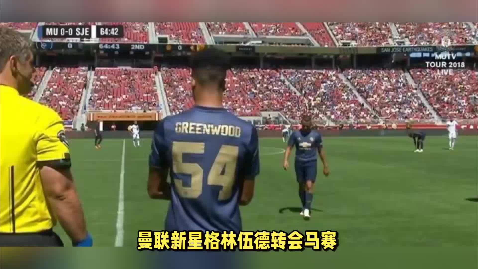 维拉里